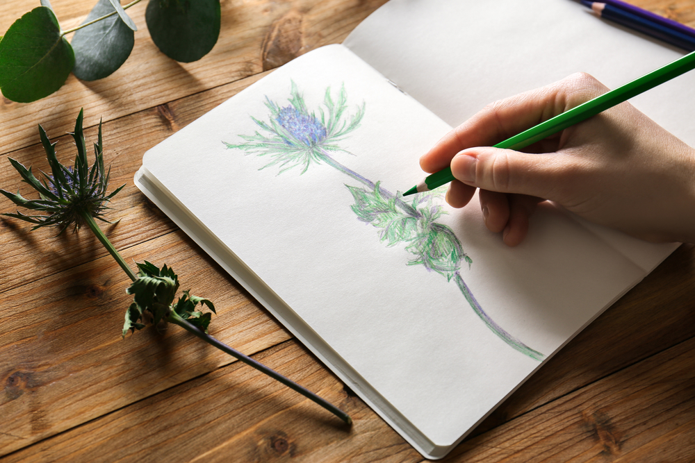 Cadernos para Desenho e Ilustração: Ferramentas Essenciais para Artistas e Ilustradores
