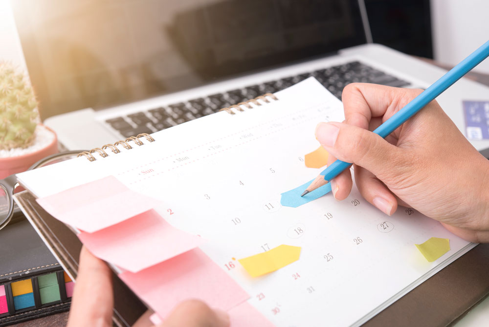 Dinheiro no Bolso: Dicas para Usar seu Planner Financeiro em 2024