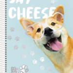 My Pets – Caderno Universitário 15 matérias - Capa D