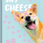 My Pets – Caderno Brochurão 1/1 – 48 fls - Capa B