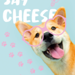 My Pets – Caderneta Espiral Superior - Capa D