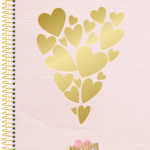 Passion – Caderno Universitário 10 matérias - Capa D