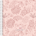 Rosa Rose - Universitário Duplex CD - 1  matéria - Capa A