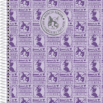 Rebeca Bonbon - Universitário CD - 1 matérias - Capa B