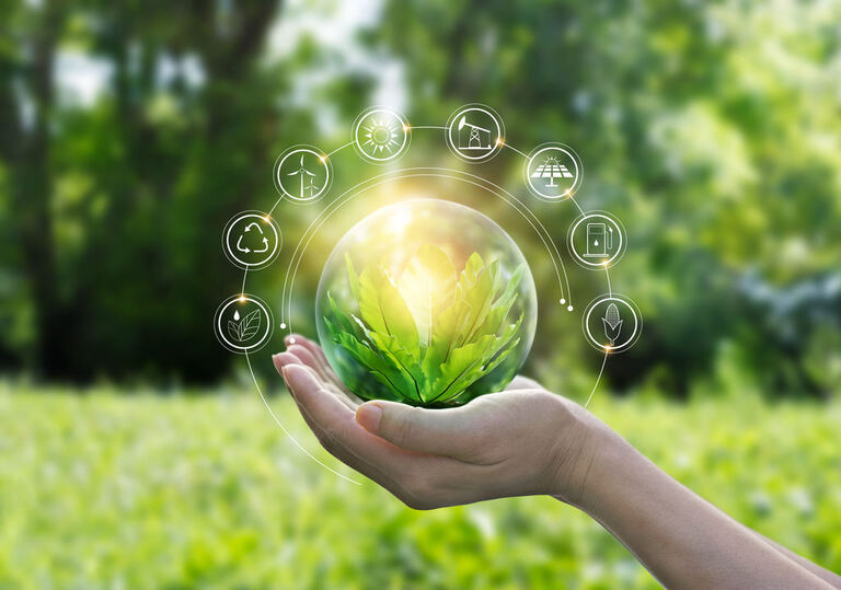 Como implementar práticas eco-friendly em sua operação