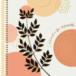 Mulher - Universitário CD - 20 Matérias - Capa D