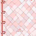 Rosa Rose – Caderno Colegial Argolado - 160 folhas - Capa B