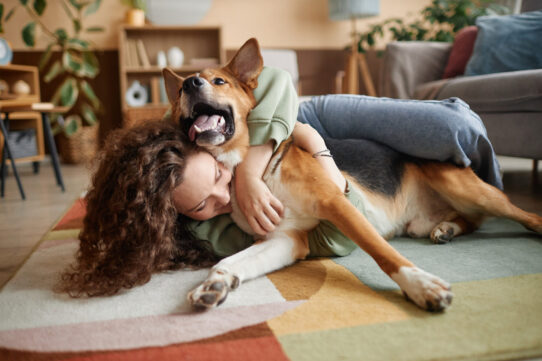 Imagem destaque do post Pais de Pet: Como os Animais de Estimação Tornam a Vida Mais Alegre